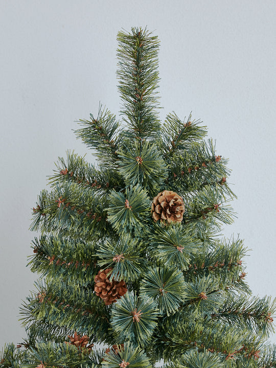 アルザスツリー 樅