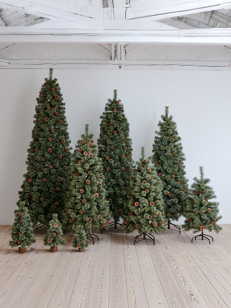 アルザスツリー 樅