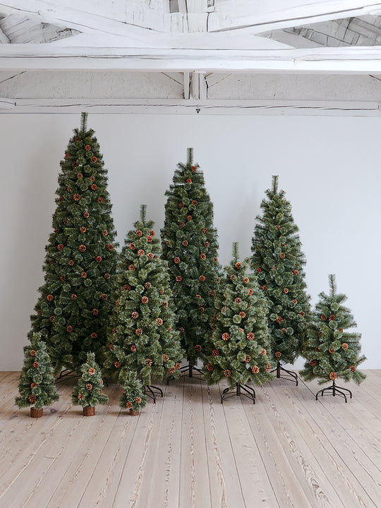 アルザスツリー 樅