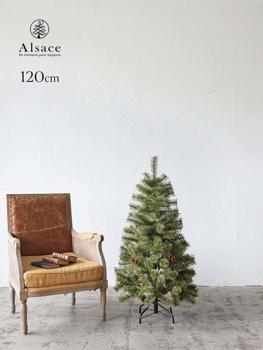 アルザスツリー 樅