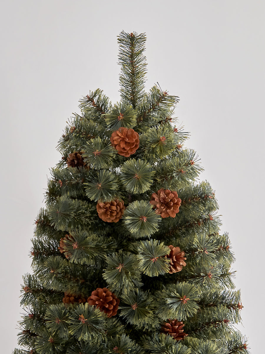 アルザスツリー 樅