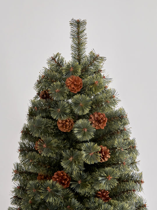 アルザスツリー 樅