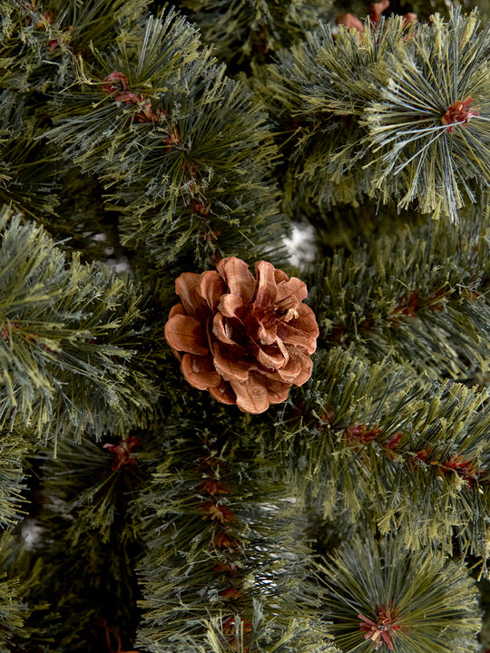 アルザスツリー 樅