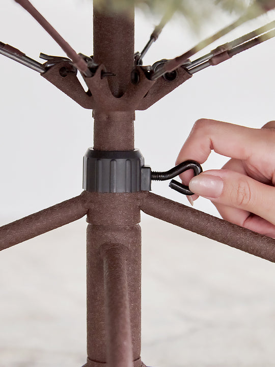 アルザスツリー 樅