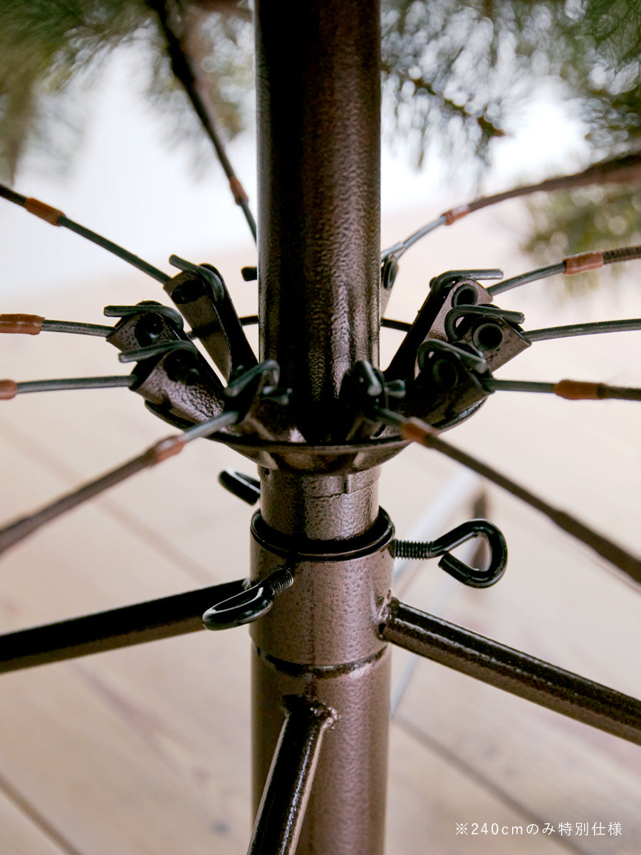 アルザスツリー 樅