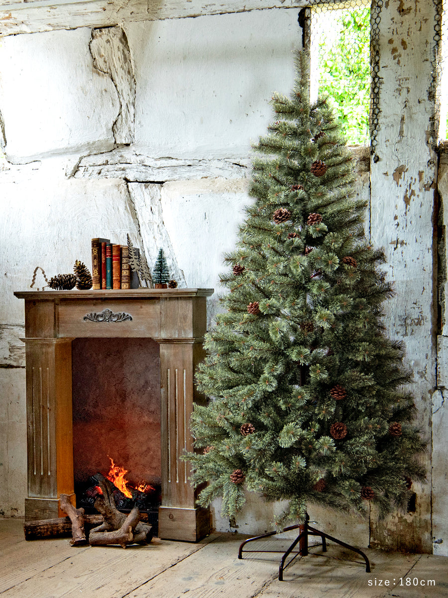 アルザスツリー 樅