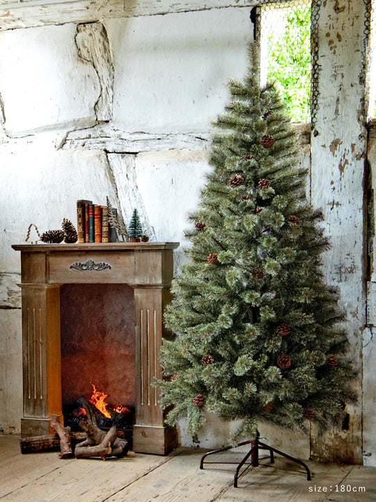 アルザスツリー 樅