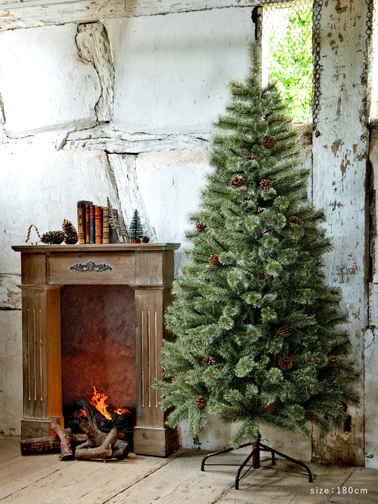 アルザスツリー 樅