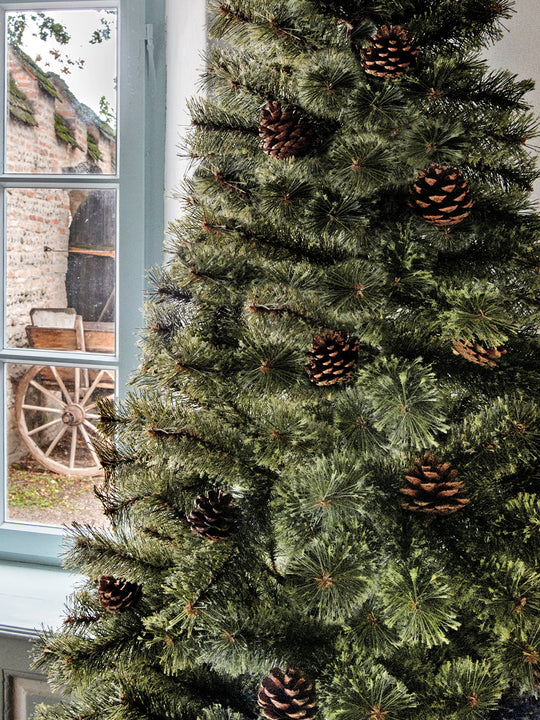 アルザスツリー 樅