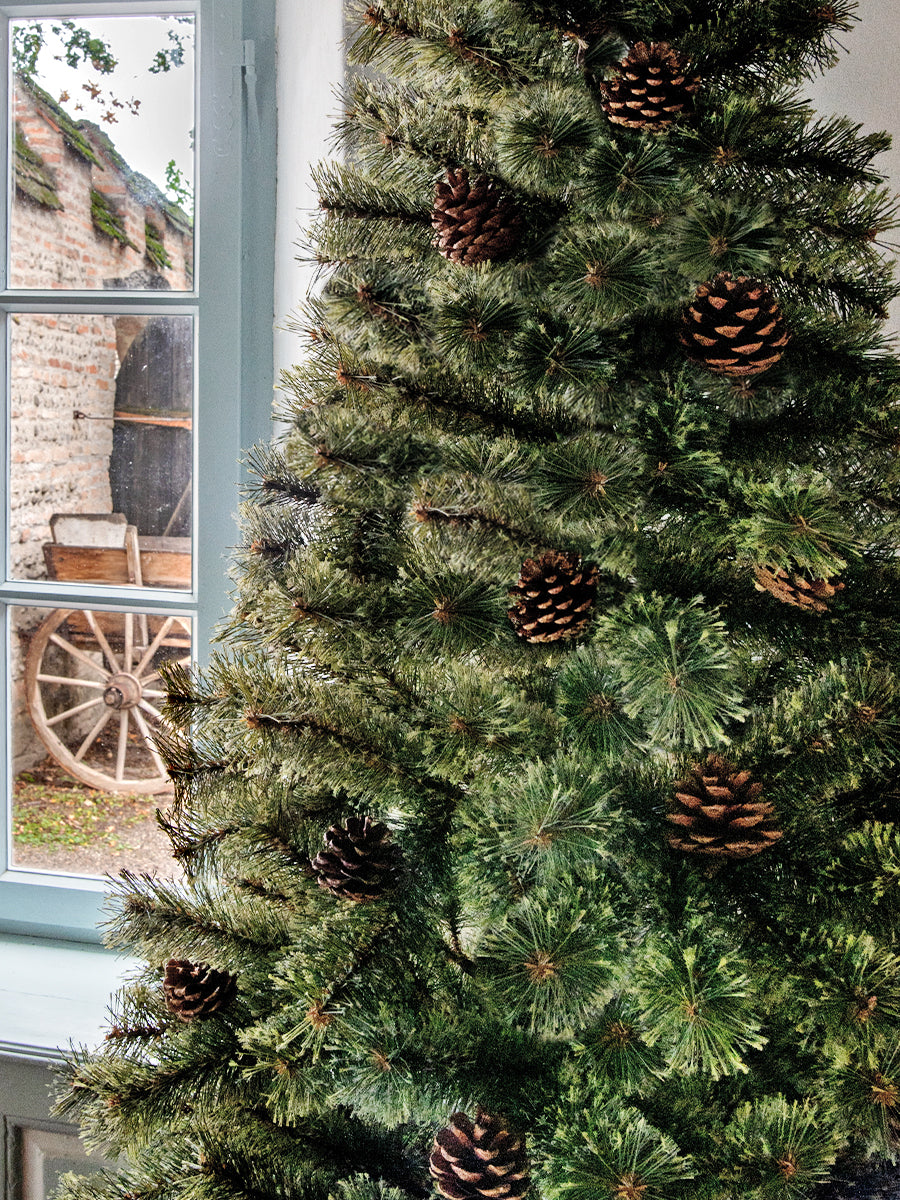 アルザスツリー 樅