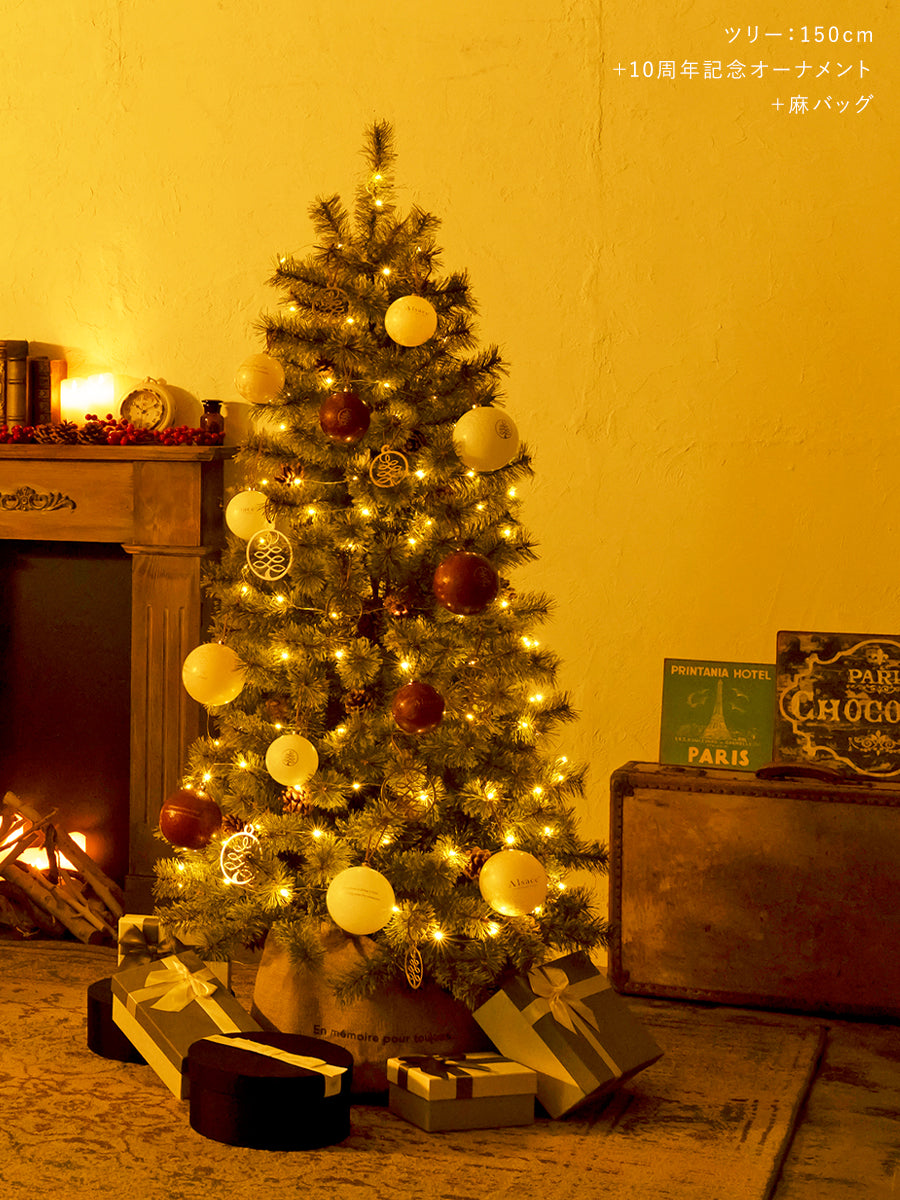 ジュエリーライト 電池式 100LED【10m】柊