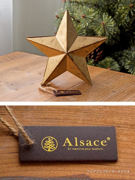 トップスター【大 / 小】柊