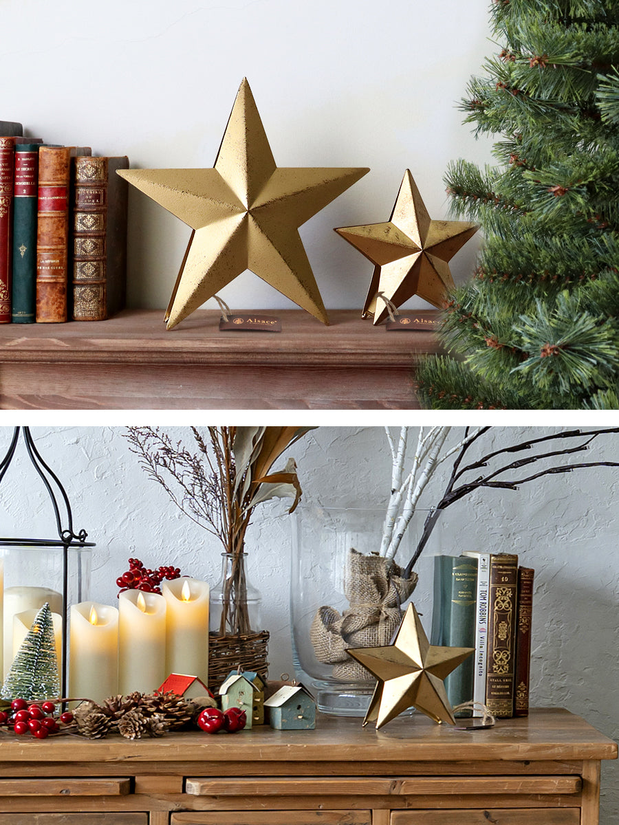 トップスター【大 / 小】柊