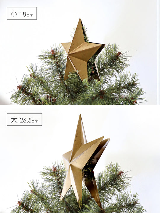 トップスター【大 / 小】柊