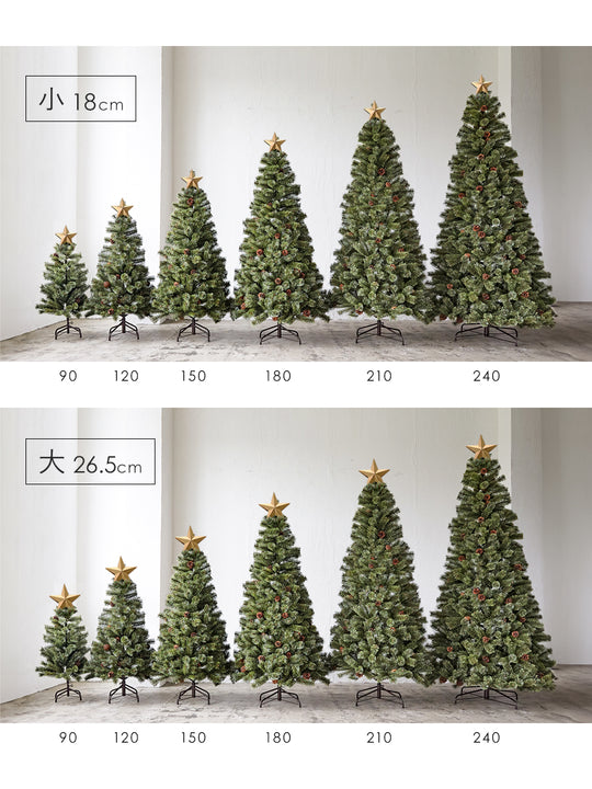 トップスター【大 / 小】柊