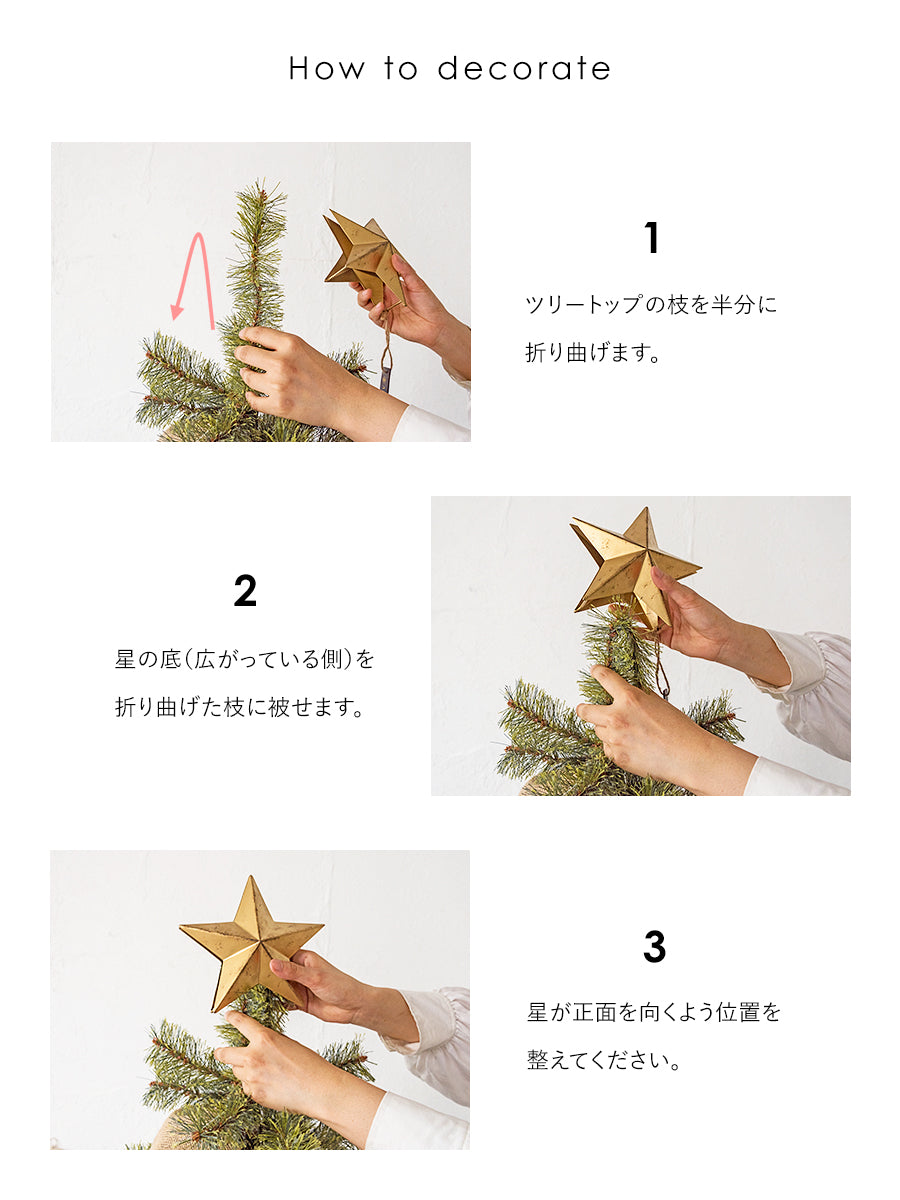 トップスター【大 / 小】柊