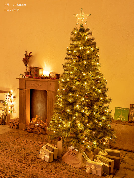 トップスター イルミネーション 160LED【10m】柊