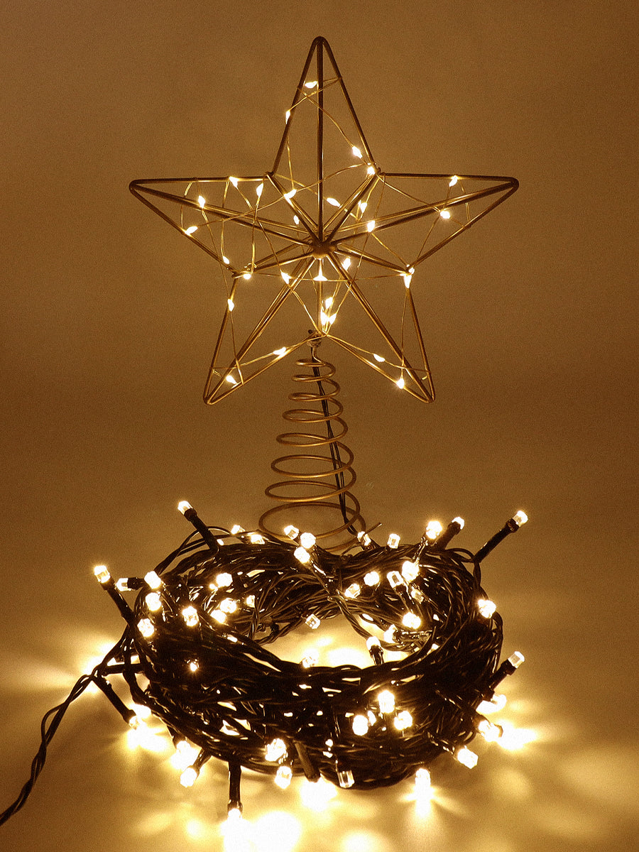 トップスター イルミネーション 160LED【10m】柊