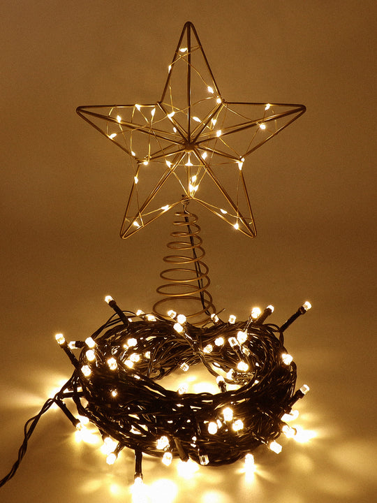 トップスター イルミネーション 160LED【10m】柊