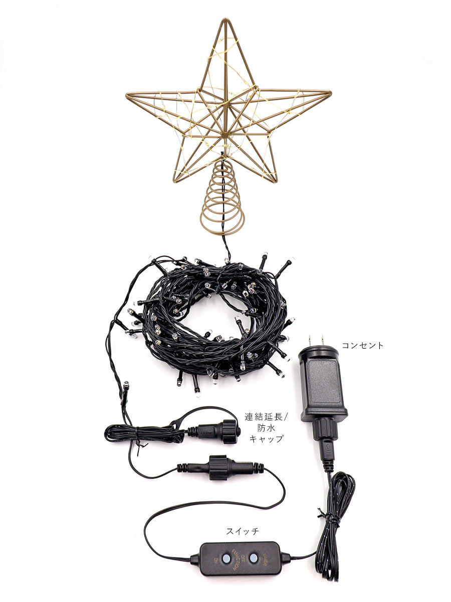 トップスター イルミネーション 160LED【10m】柊