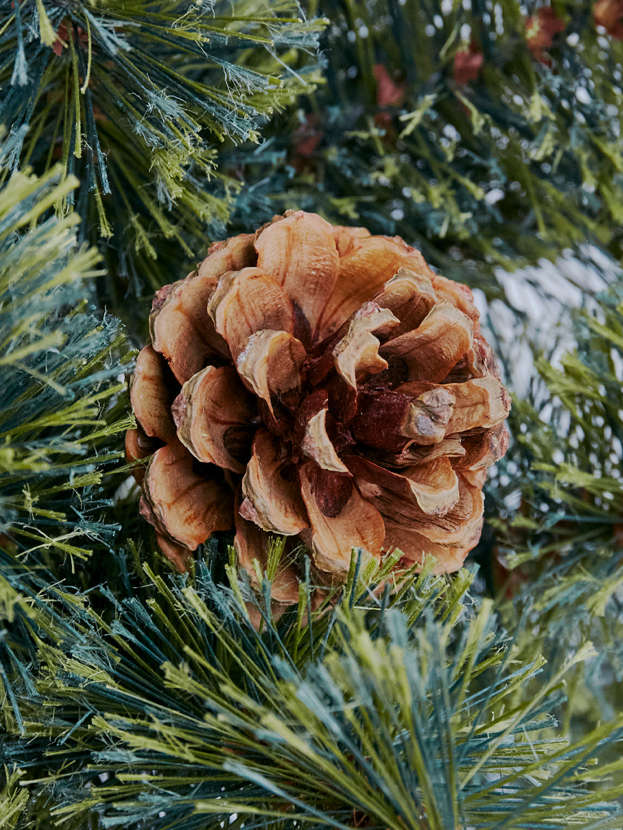 アルザスツリー ハーフ 樅