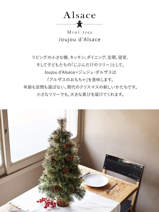ジュジュ・ダルザス  30cm 45cm 60cm  樅