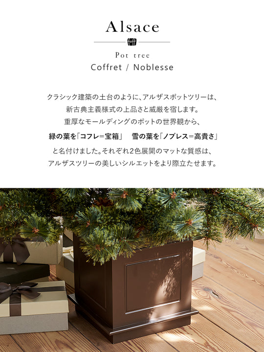 アルザスツリー ポット 樅