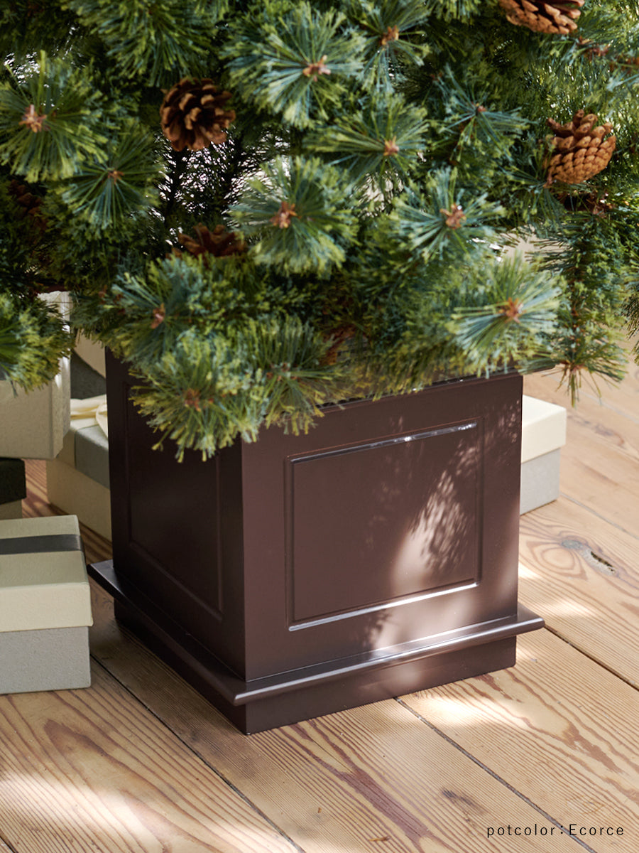 アルザスツリー ポット 樅