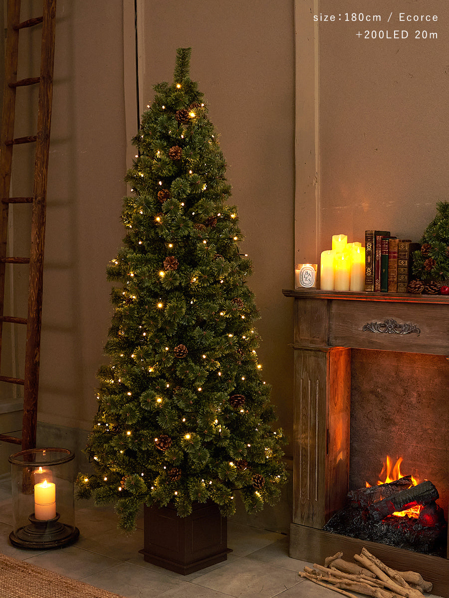 アルザスツリー ポット 樅