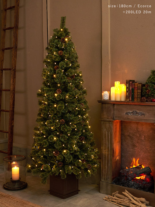 アルザスツリー ポット 樅