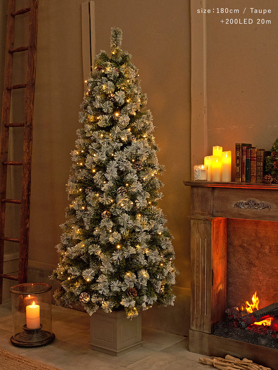 アルザスツリー ポット 樅