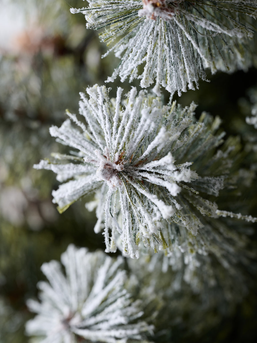 アルザスツリー スノー 樅