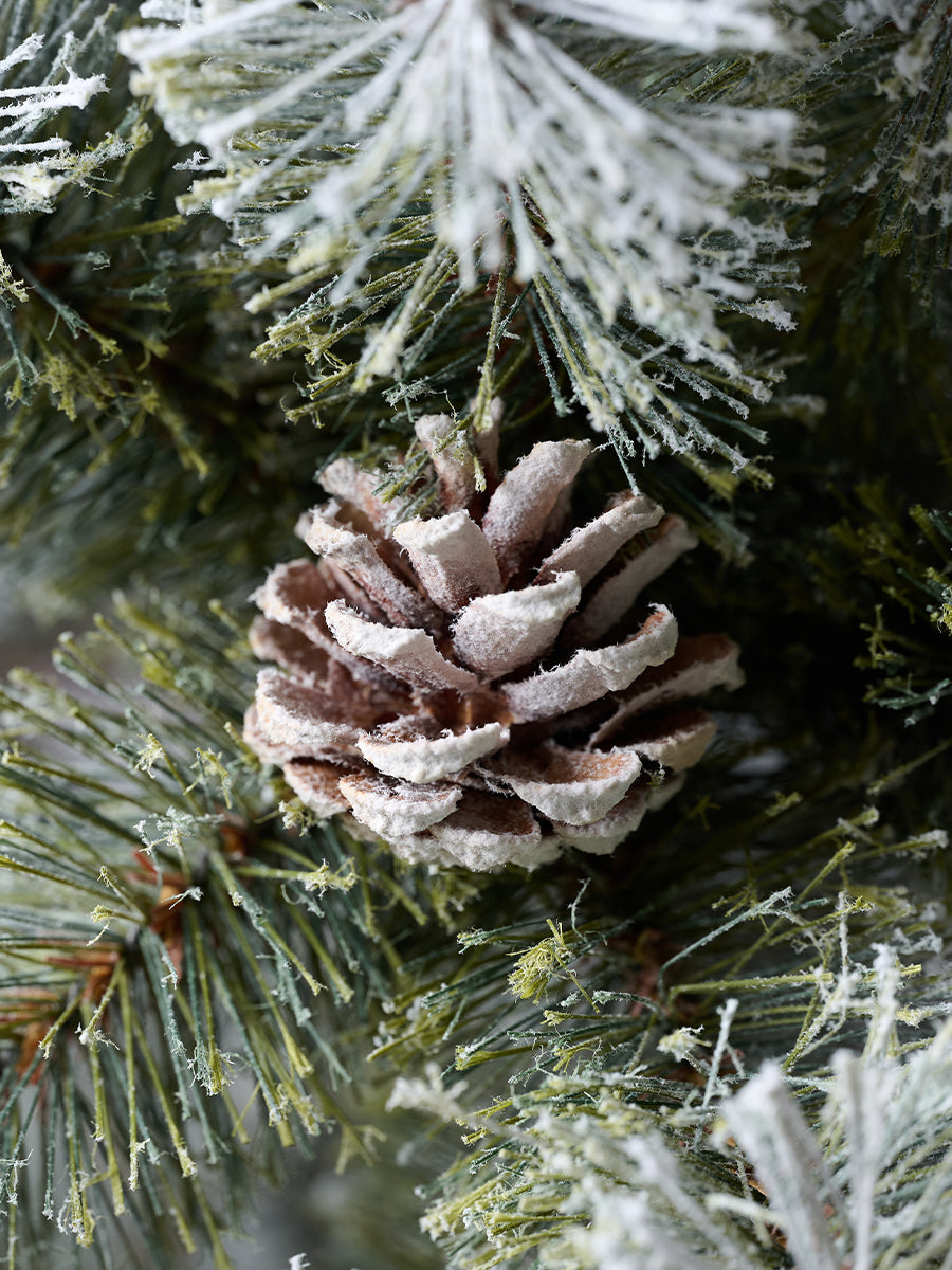 アルザスツリー スノー 樅