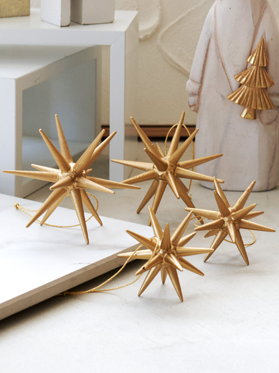 ベツレヘムの星 柊