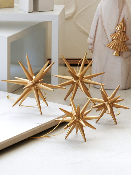 ベツレヘムの星 柊