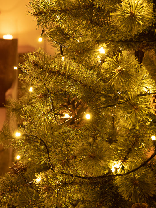 コンセント式イルミネーション 【100LED / 10m】【200LED / 20m】  柊