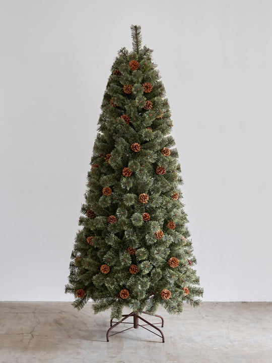 アルザスツリー 樅