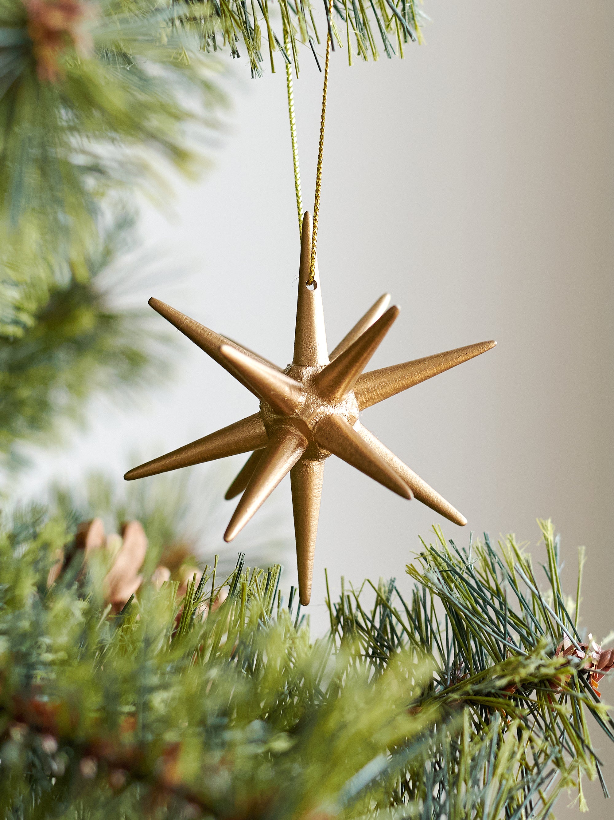 クリスマスツリー　オーナメント　ベツレヘムの星 ベツレヘムの星 柊 – alsace_tree