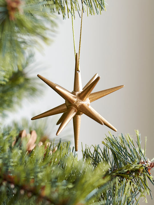 ベツレヘムの星 柊