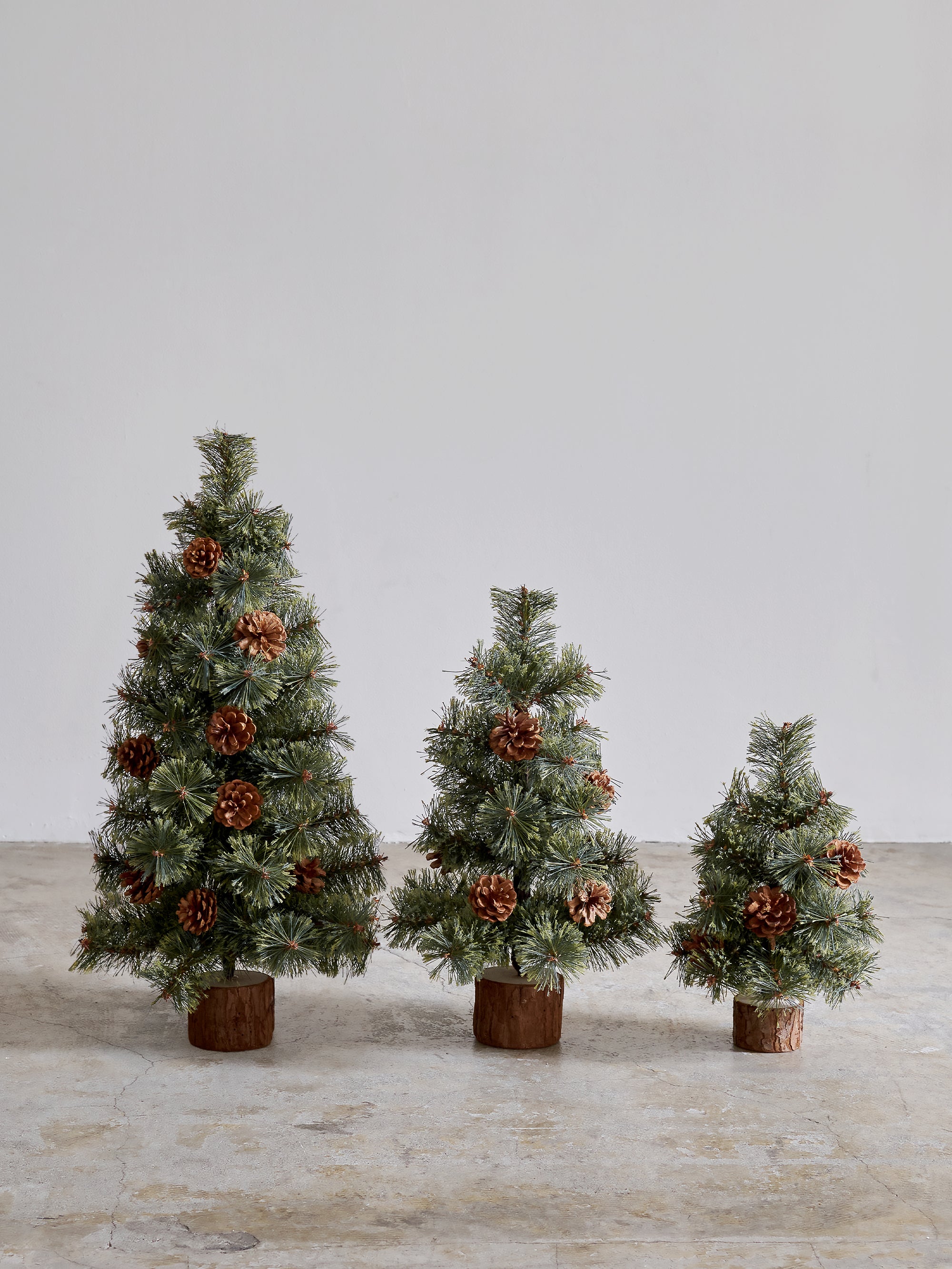 ジュジュ・ダルザス 30cm 45cm 60cm 樅 – alsace_tree