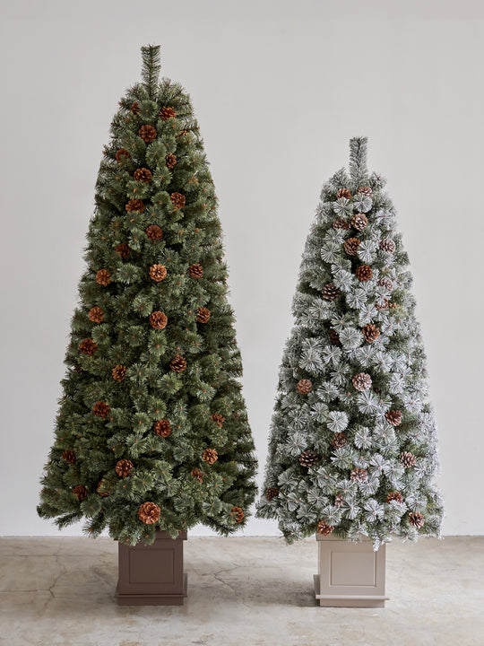 アルザスツリー ポット 樅