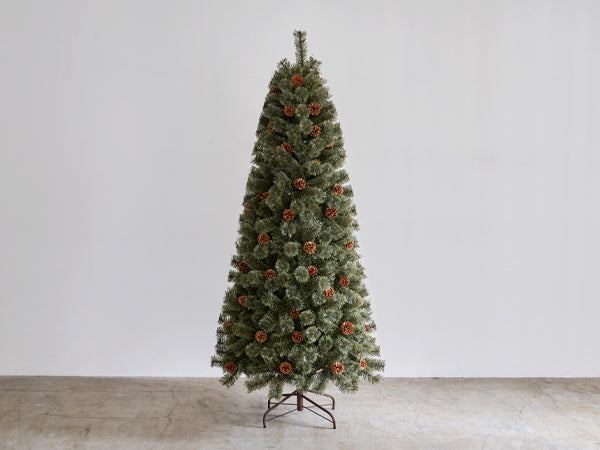 アルザスについて – alsace_tree