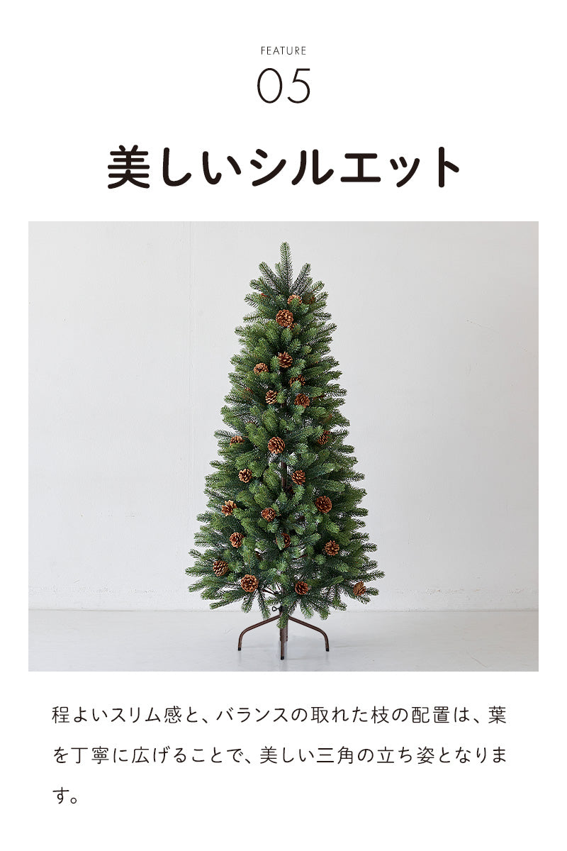 uizツリー 樅