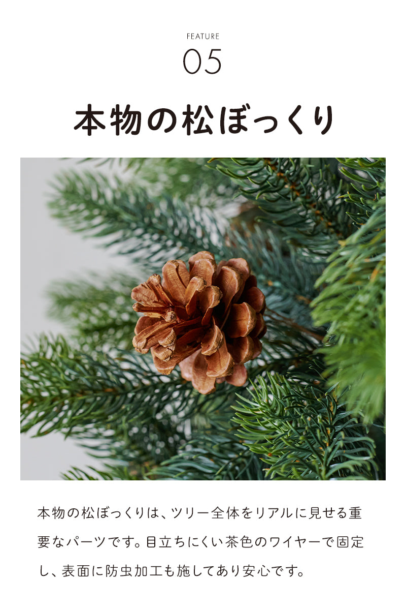 uizハーフツリー 樅