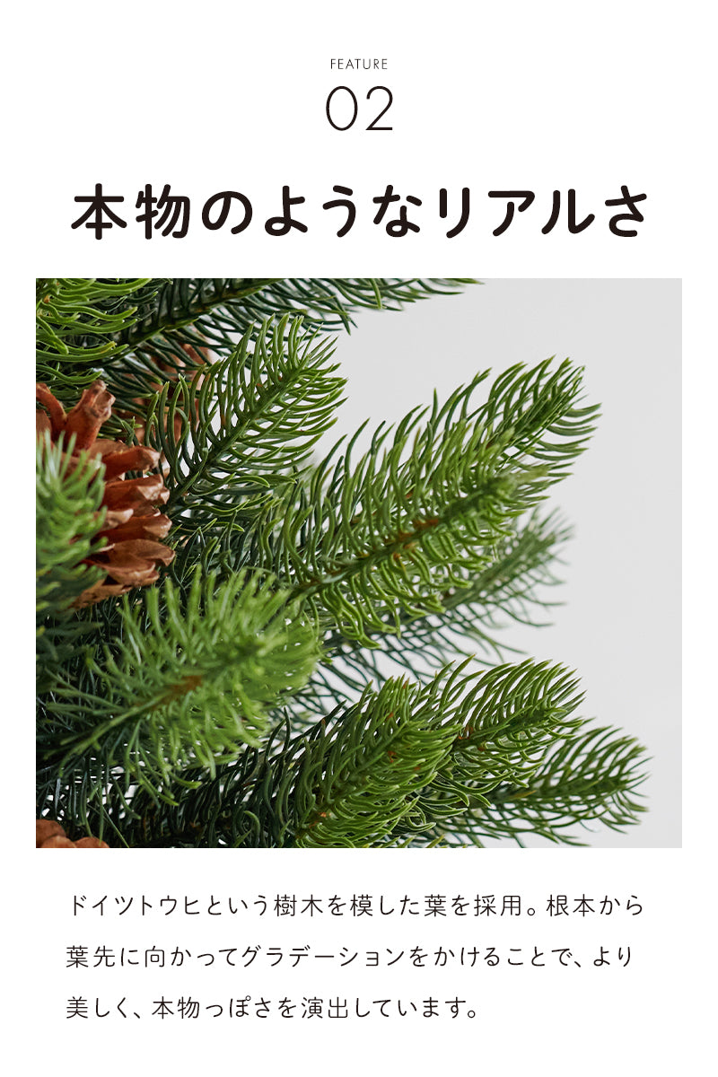 uizハーフツリー 樅