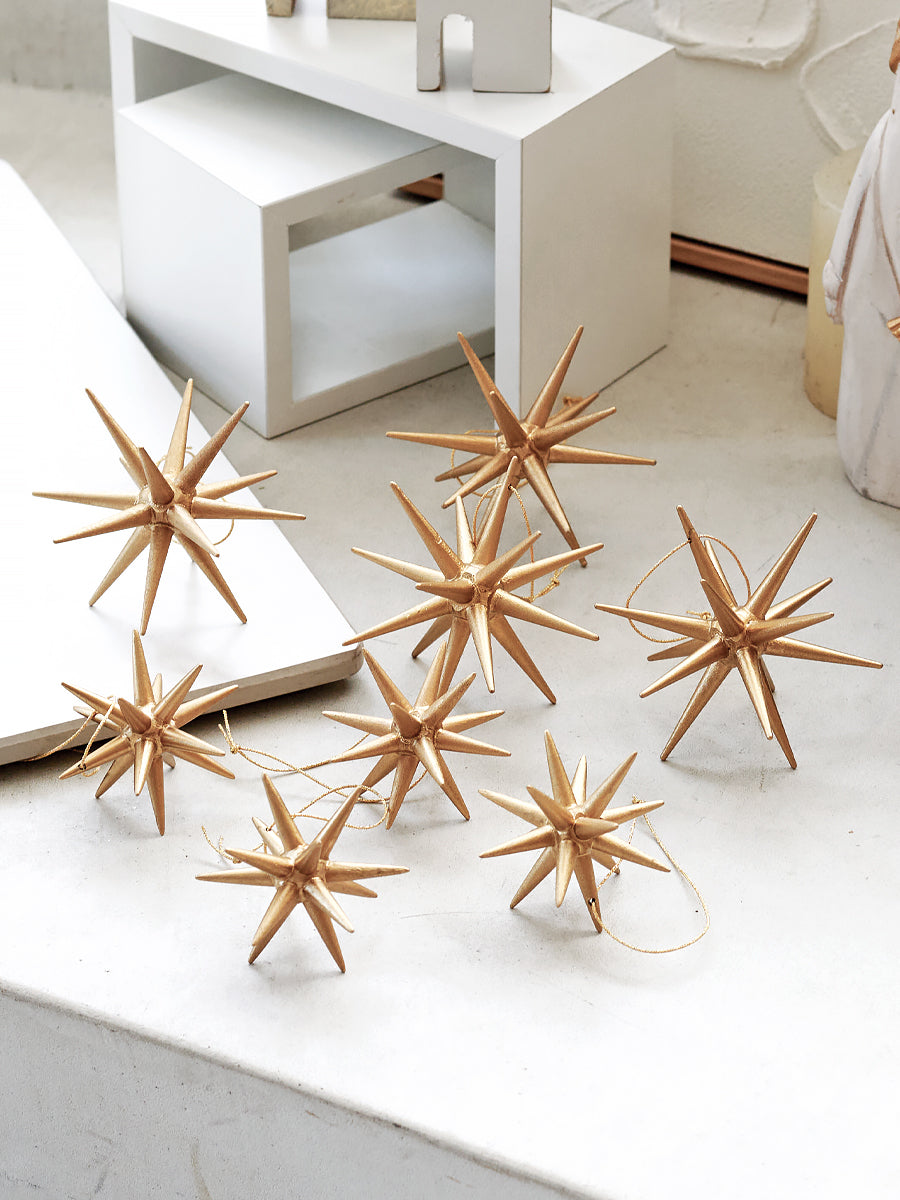 ベツレヘムの星 柊