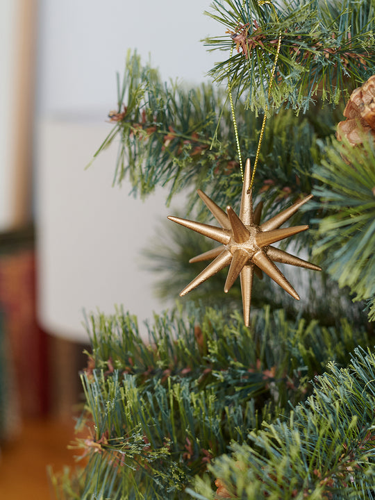 ベツレヘムの星 柊