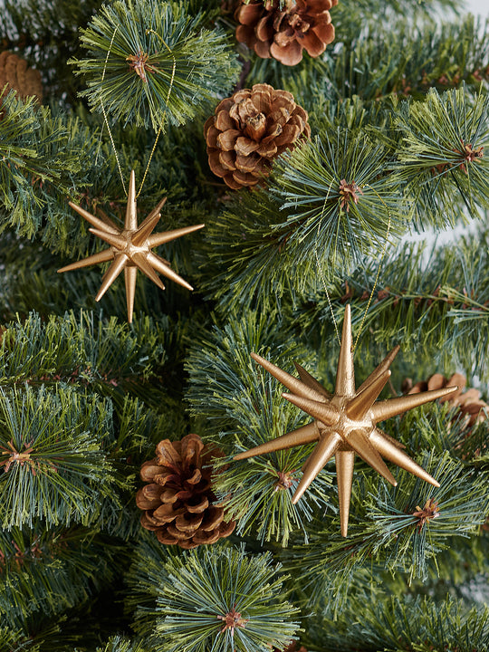 ベツレヘムの星 柊