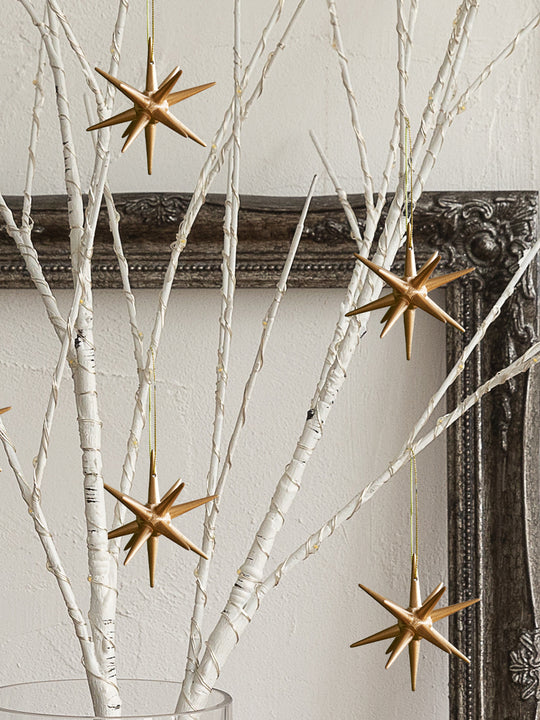 ベツレヘムの星 柊