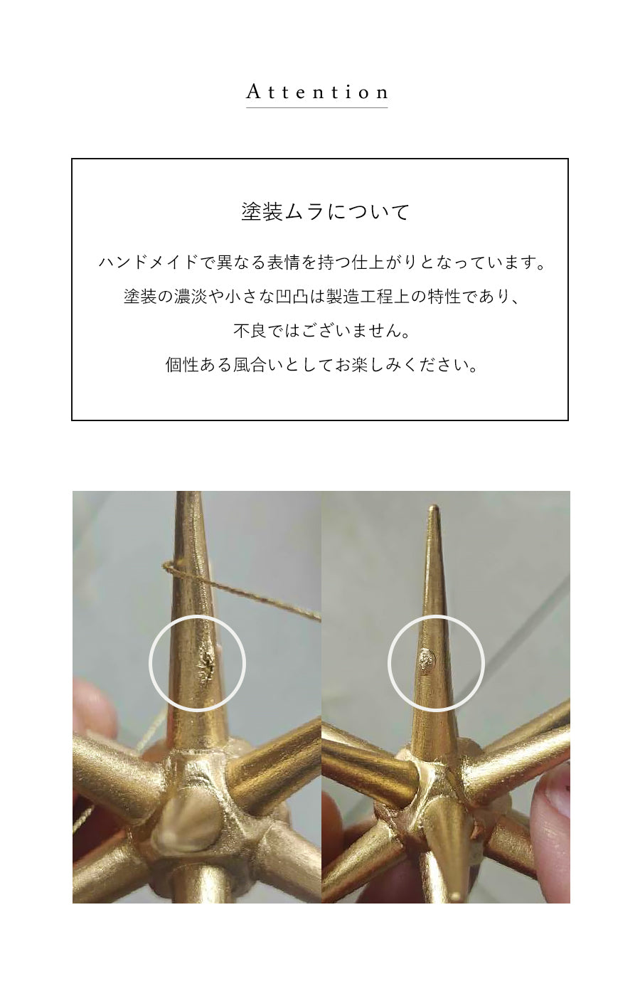 ベツレヘムの星 柊